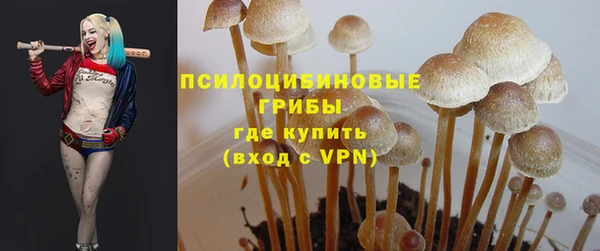 spice Абаза
