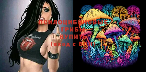 гидропоника Абдулино