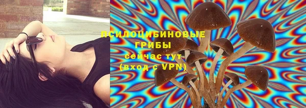 гидропоника Абдулино