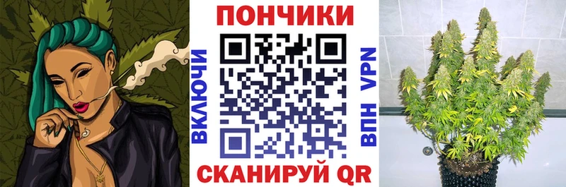 гидра tor  закладки  Калач  Шишки марихуана план 